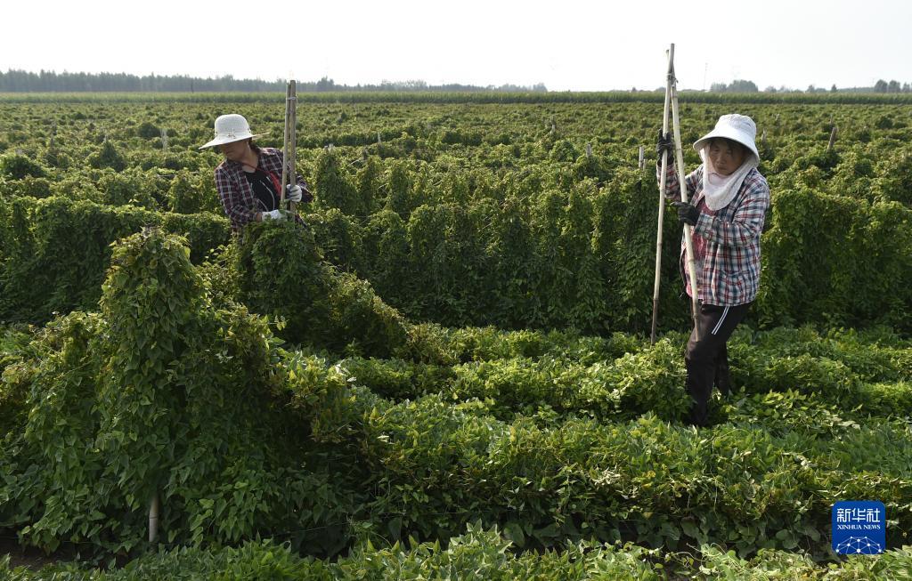 娱乐天地安卓手机登录